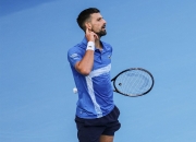 米兰捕鱼-包含联合杯绝杀温网，德约科维奇惊艳四座的词条