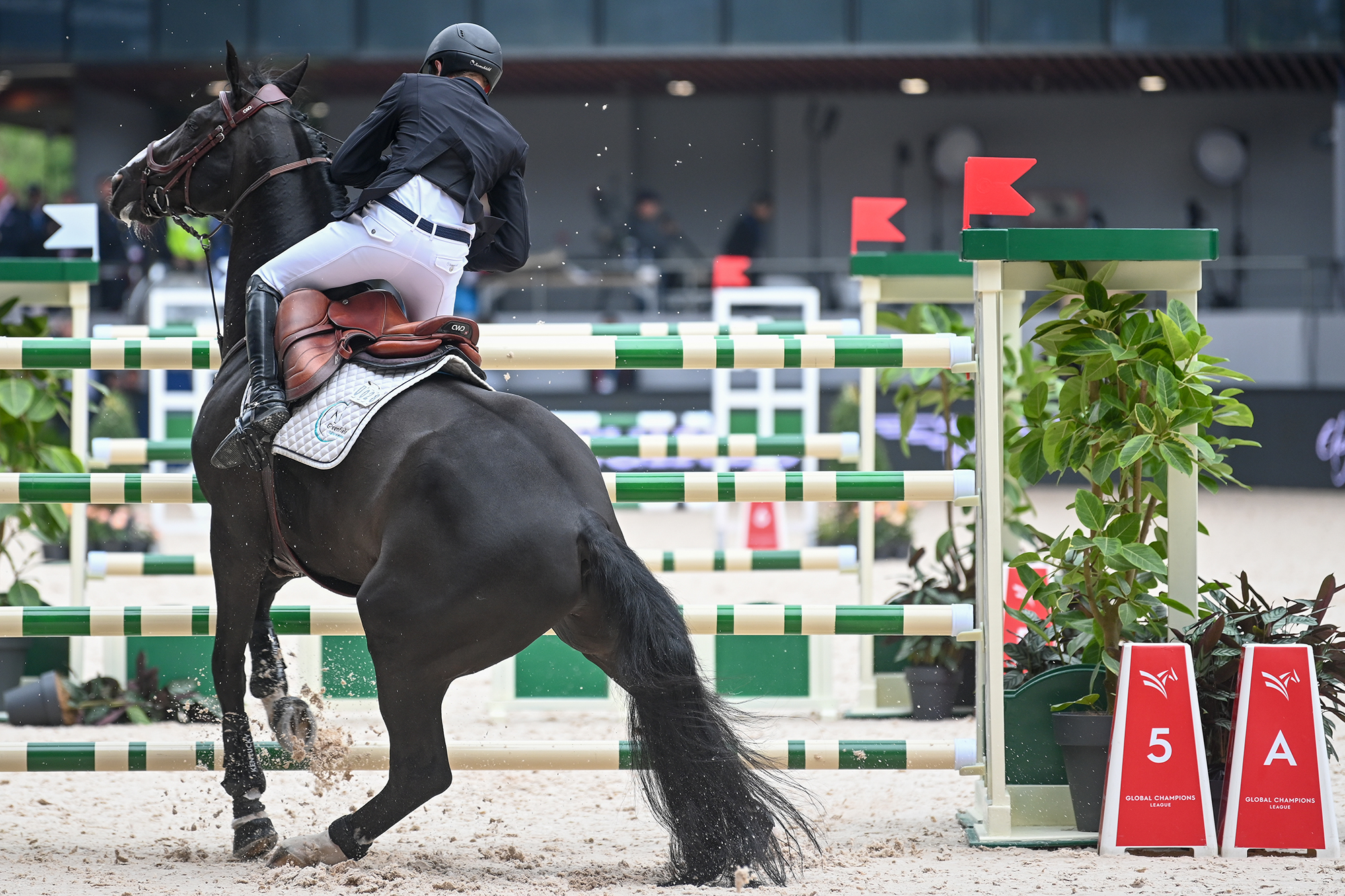 巴勒斯坦选手在马术比赛中表现优异 巴勒斯坦选手在马术比赛中表现优异